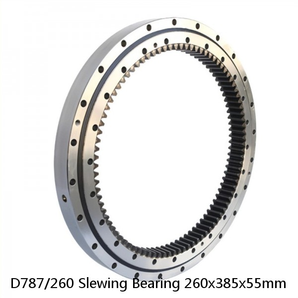 D787/260 Slewing Bearing 260x385x55mm