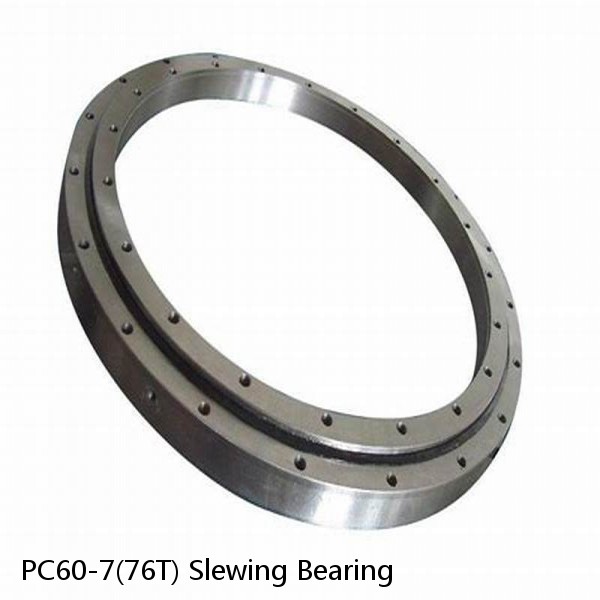 PC60-7(76T) Slewing Bearing