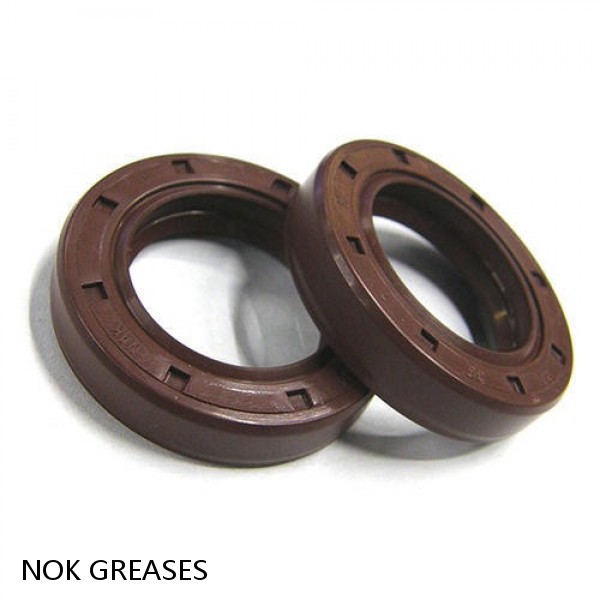 GREASES NOK OIL SEAL #1 small image
