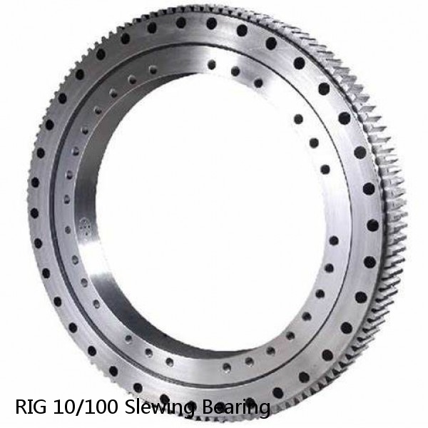 RIG 10/100 Slewing Bearing #1 small image