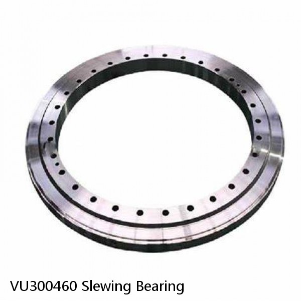 VU300460 Slewing Bearing #1 small image