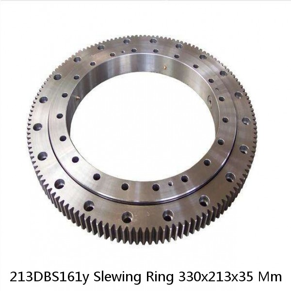 213DBS161y Slewing Ring 330x213x35 Mm #1 small image
