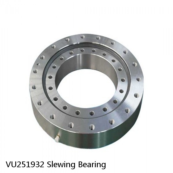 VU251932 Slewing Bearing