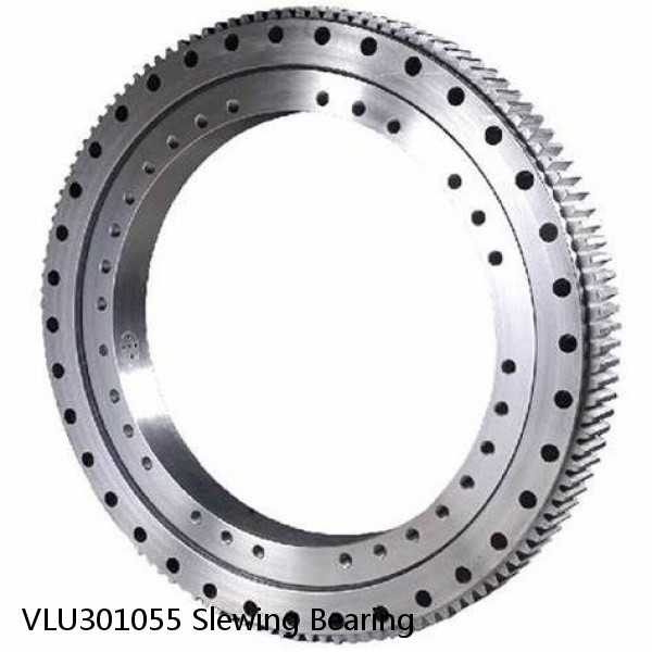 VLU301055 Slewing Bearing #1 small image