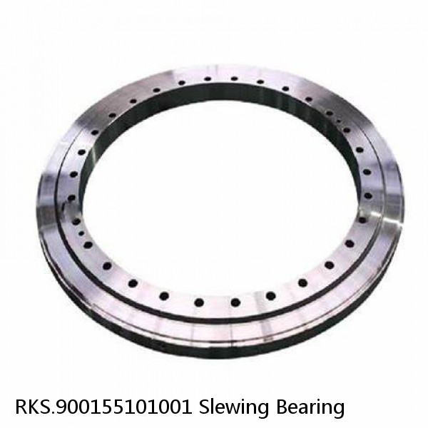 RKS.900155101001 Slewing Bearing