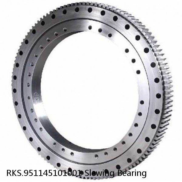 RKS.951145101001 Slewing Bearing #1 small image