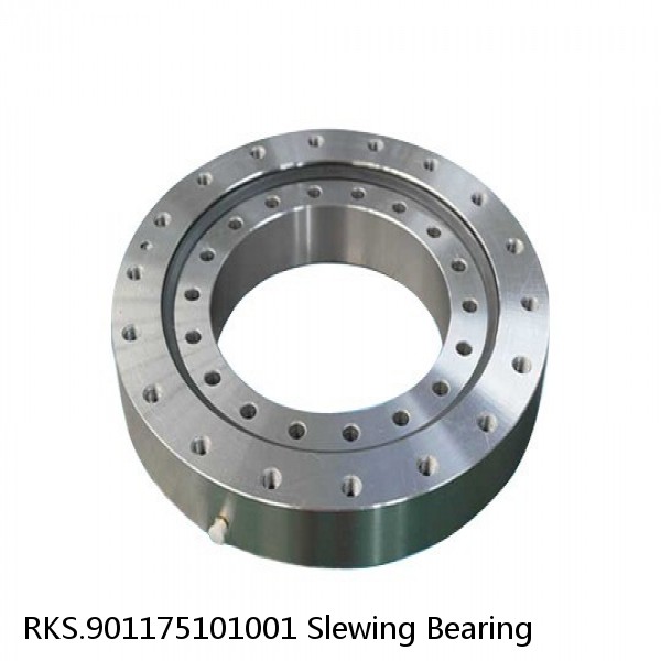 RKS.901175101001 Slewing Bearing #1 small image