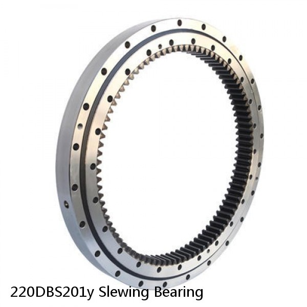 220DBS201y Slewing Bearing #1 small image