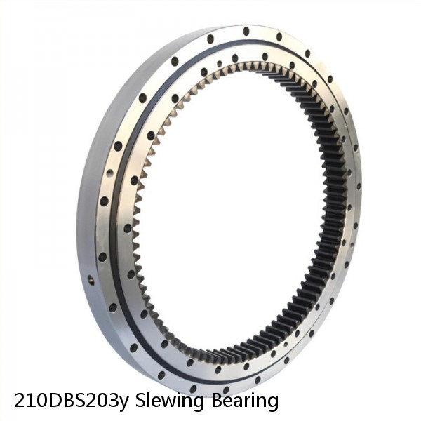 210DBS203y Slewing Bearing #1 small image