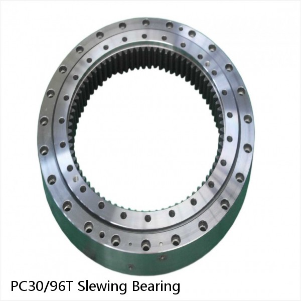 PC30/96T Slewing Bearing #1 small image