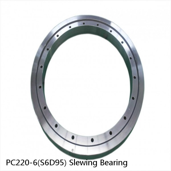 PC220-6(S6D95) Slewing Bearing