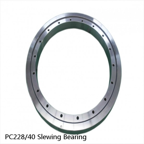 PC228/40 Slewing Bearing #1 small image