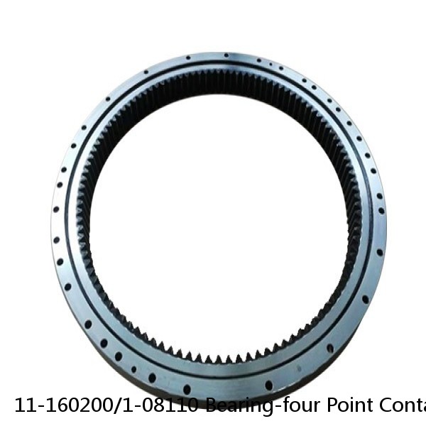 11-160200/1-08110 Bearing-four Point Contact Ball Slewing Ring #1 image