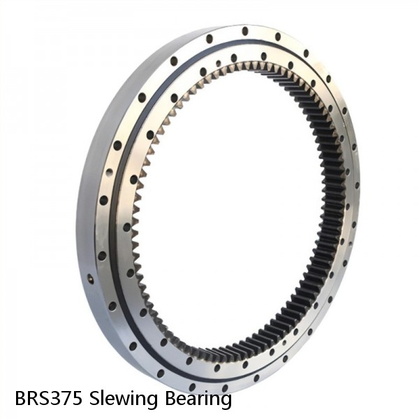 BRS375 Slewing Bearing #1 image