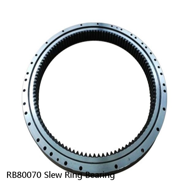 RB80070 Slew Ring Bearing #1 image