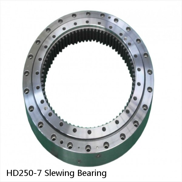 HD250-7 Slewing Bearing #1 image